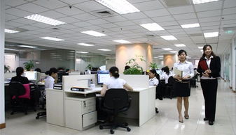 布心學校裝修店鋪裝修以質量創口碑