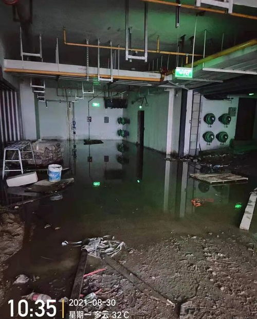 武漢萬達深陷營銷陷阱, 御 系列項目交付問題不斷